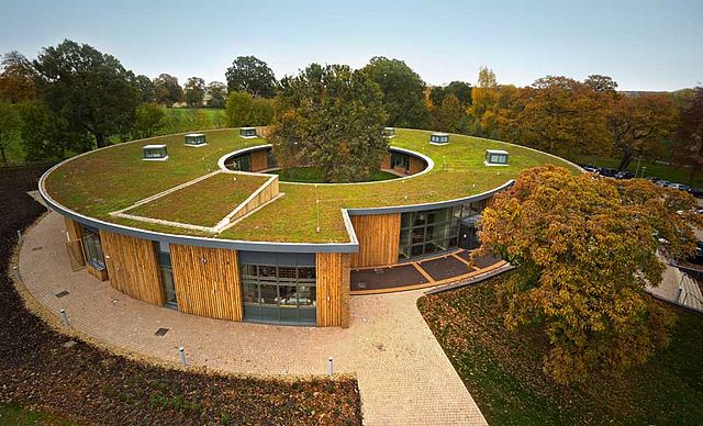 Green Roofing Solutions: Enhancing Sustainability and Beauty