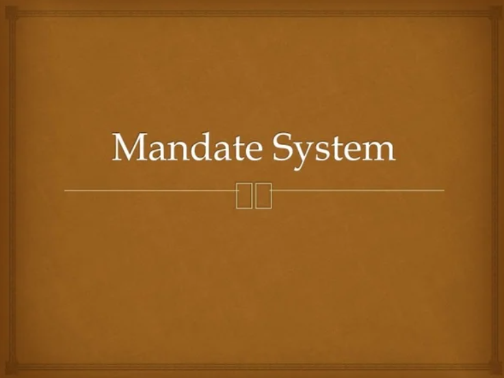 Our Mandate, Positions, and Programme